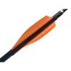 XS-WINGS - Plume 100 Mm High Profile -WLG Arbaletes Magasin xs wings plume 100 mm high profile